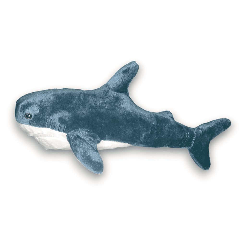 Requin peluche le symbole de la transidentité